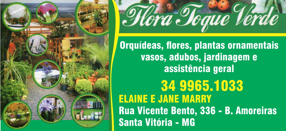 FLORA TOQUE VERDE - PLANTAS ORNAMENTAIS EM SANTA VITÓRIA