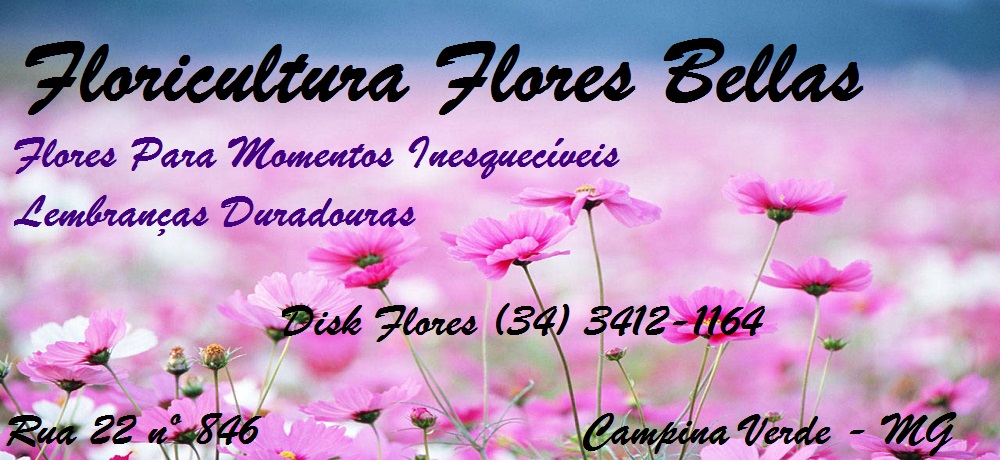 FLORICULTURA FLORES BELLAS - FLORICULTURA EM CAMPINA VERDE