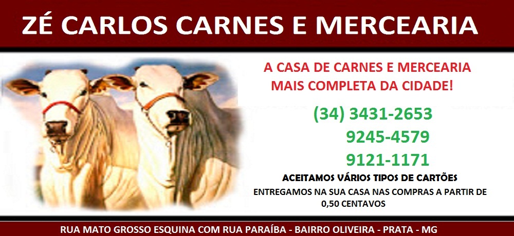 ZÉ CARLOS CARNES - AÇOUGUE E MERCEARIA NO PRATA MG