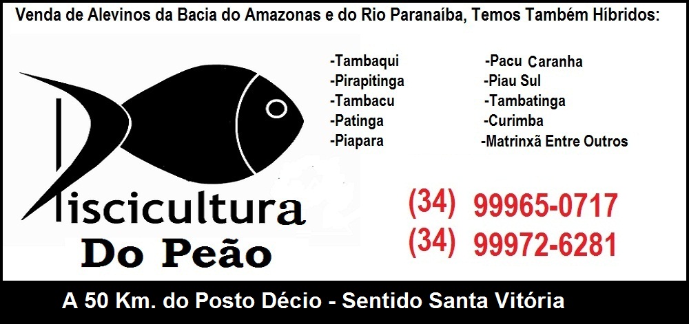 PISCICULTURA DO PEÃO - ALEVINOS EM SANTA VITÓRIA