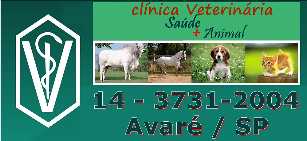 SAÚDE ANIMAL CLÍNICA VETERINÁRIA EM AVARÉ 