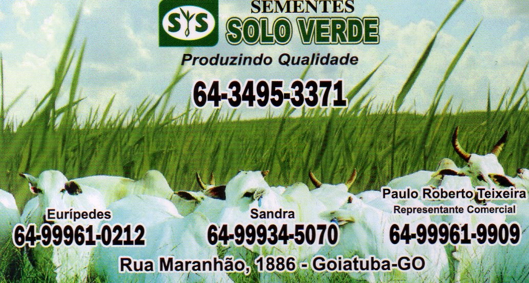 SOLO VERDE - SEMENTES PARA PASTAGEM EM BURITI ALEGRE