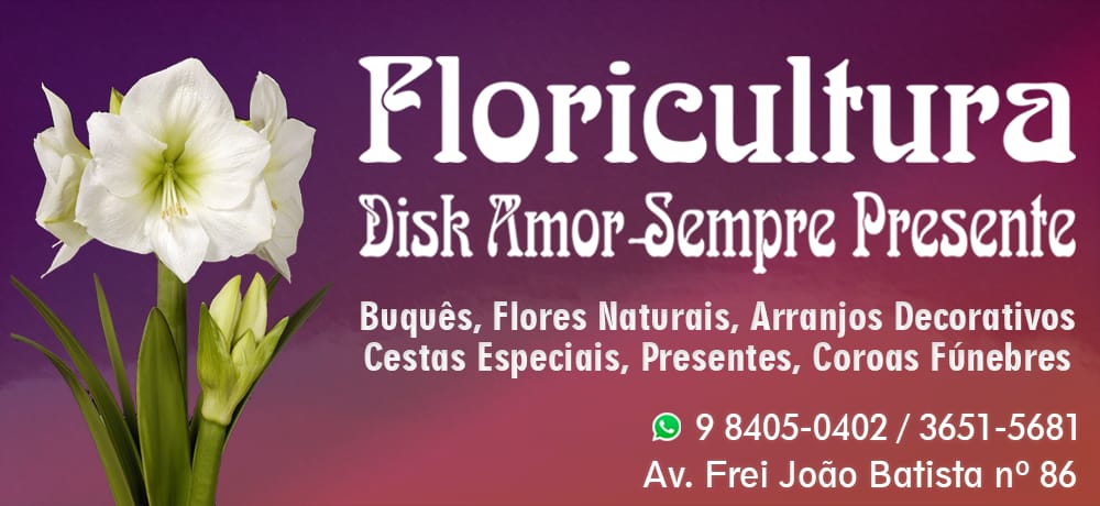 DISK AMOR - FLORICULTURA EM QUIRINÓPOLIS