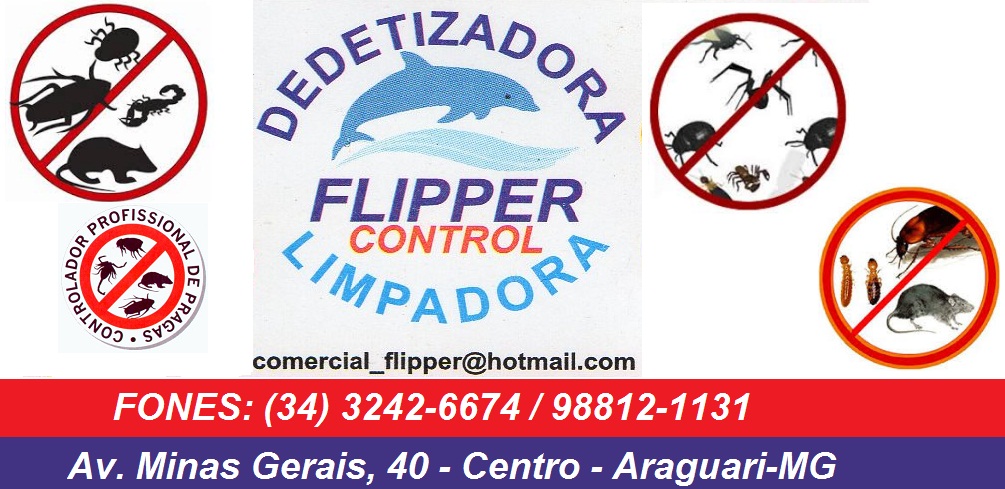 FLIPPER - DEDETIZADORA E LIMPADORA EM ARAGUARI