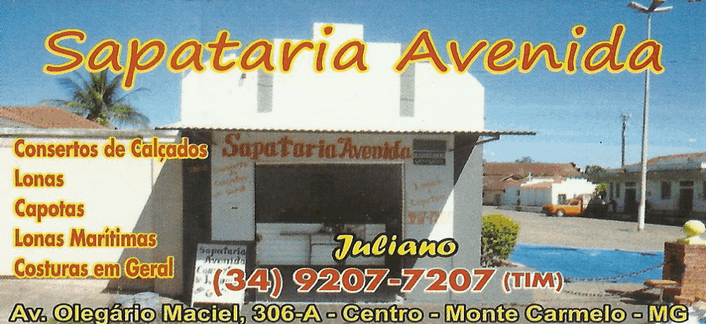 SAPATARIA AVENIDA